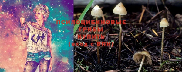 таблы Карпинск