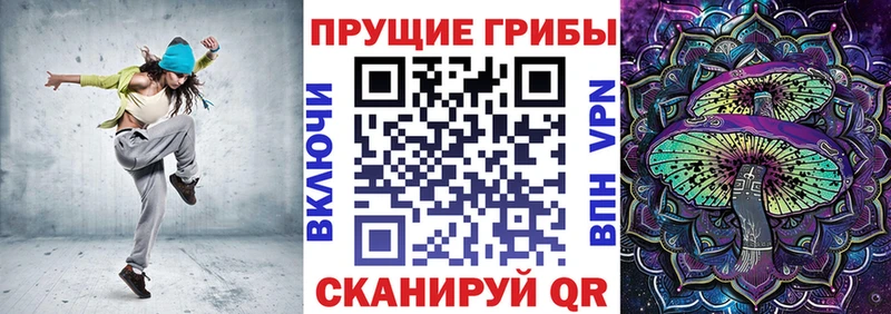 Псилоцибиновые грибы Psilocybe  Купить  Брюховецкая 